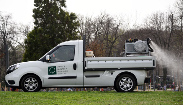Запрашују комарце на Палилули